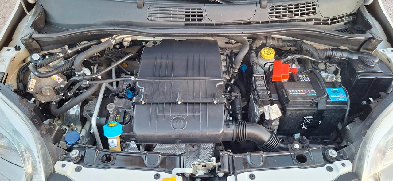 Fiat Panda 1.2 GPL DELLA CASA SCADENZA 2034 KIT DISTRIBUZIONE SOSTITUITA CON TAGLIANDO