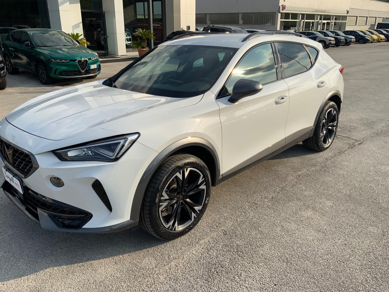 Cupra Formentor 2.0 TDI 4Drive DSG