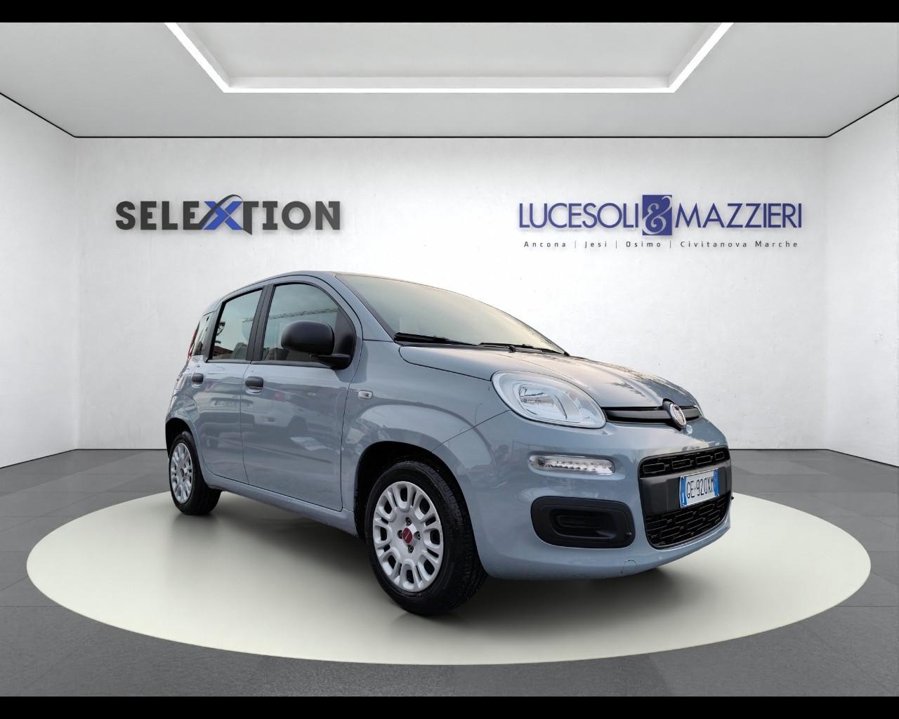 FIAT PANDA - Panda 1.0 FireFly S&S Hybrid