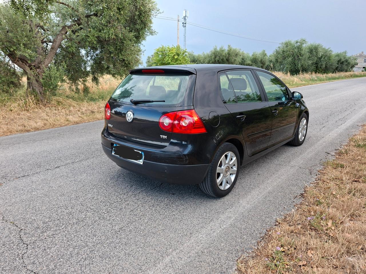 Volkswagen Golf 1.9 TDI DPF 5p. Comfortline