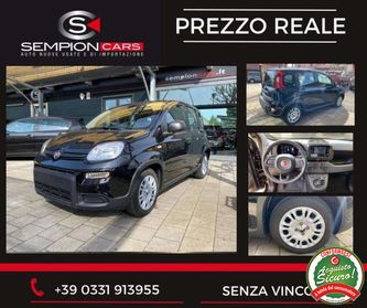 FIAT Panda Pandina 1.0 hybrid PDC/COCKPIT/Cruise PREZZO REALE