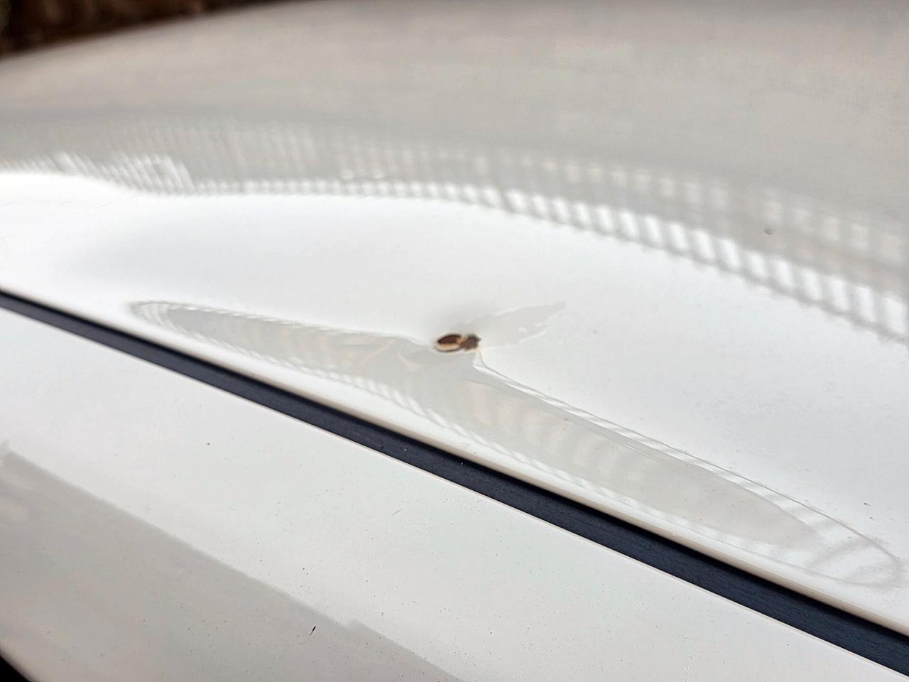 Fiat Punto Evo 1300 Multijet 75cv 150° anniversario