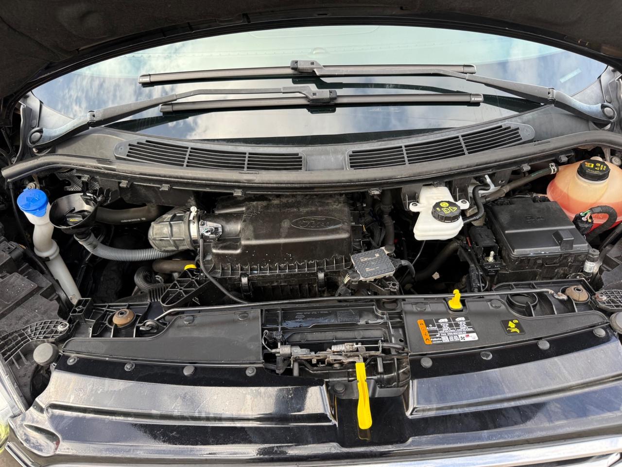 Ford Tourneo Custom 320 2.0 TDCi 185CV MHEV PL Titanium X