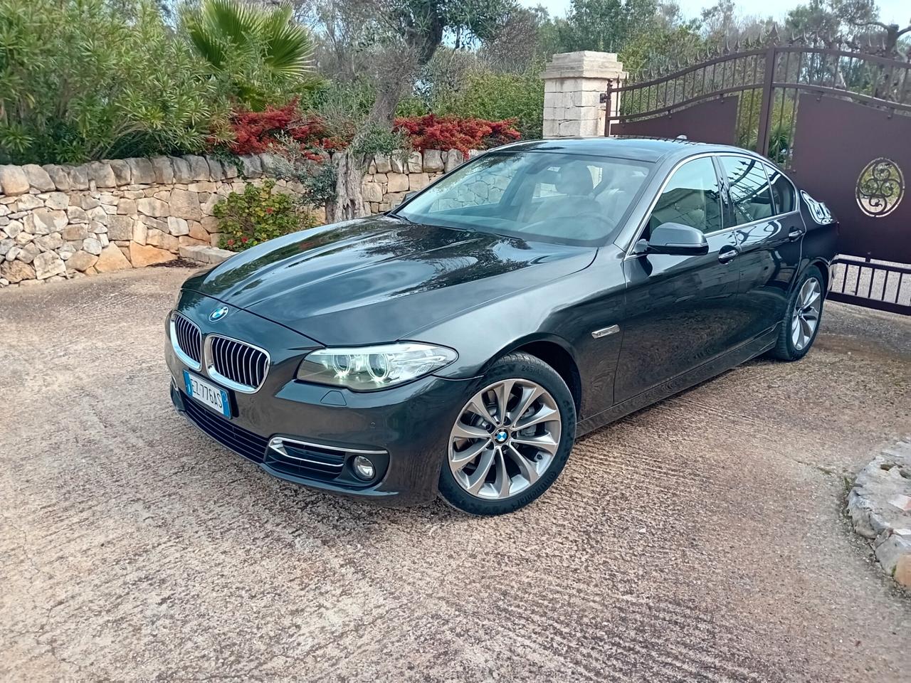 Bmw 520 520d Luxury