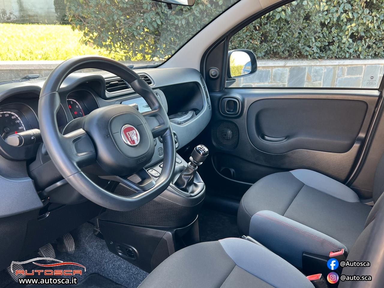 Fiat Panda 1.2 69cv Easy 2019 * SOLI 60.000km *