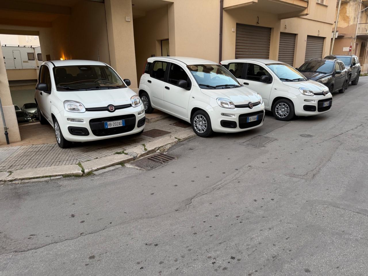 Fiat Panda 1.0 FireFly S&S Hybrid Pandina NOLEGGIO GIORNALIERO