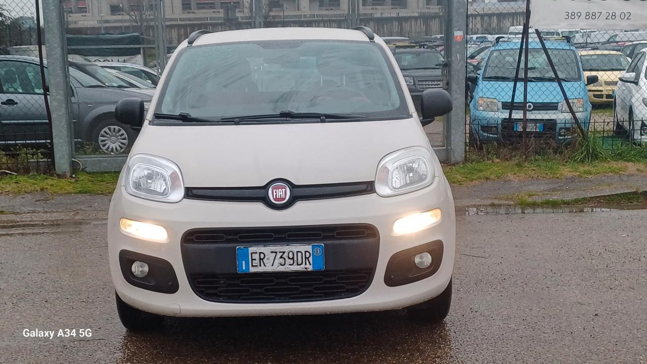 Fiat Panda 1.2 Lounge ( 12 mesi di garanzia)