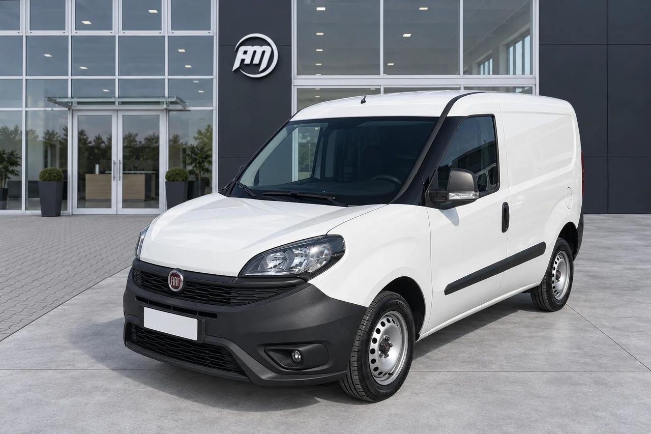 Fiat Doblo cargo 1.3 mjt 95cv CH1 Business S&S
