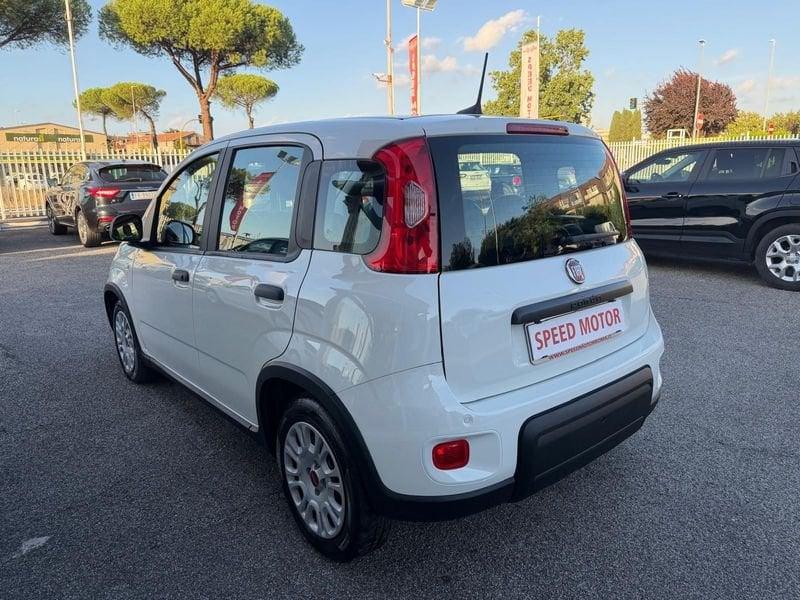 FIAT Panda 1.0 FireFly 70cv Hybrid, 5 POSTI, SENSORI PARCHEGGIO!