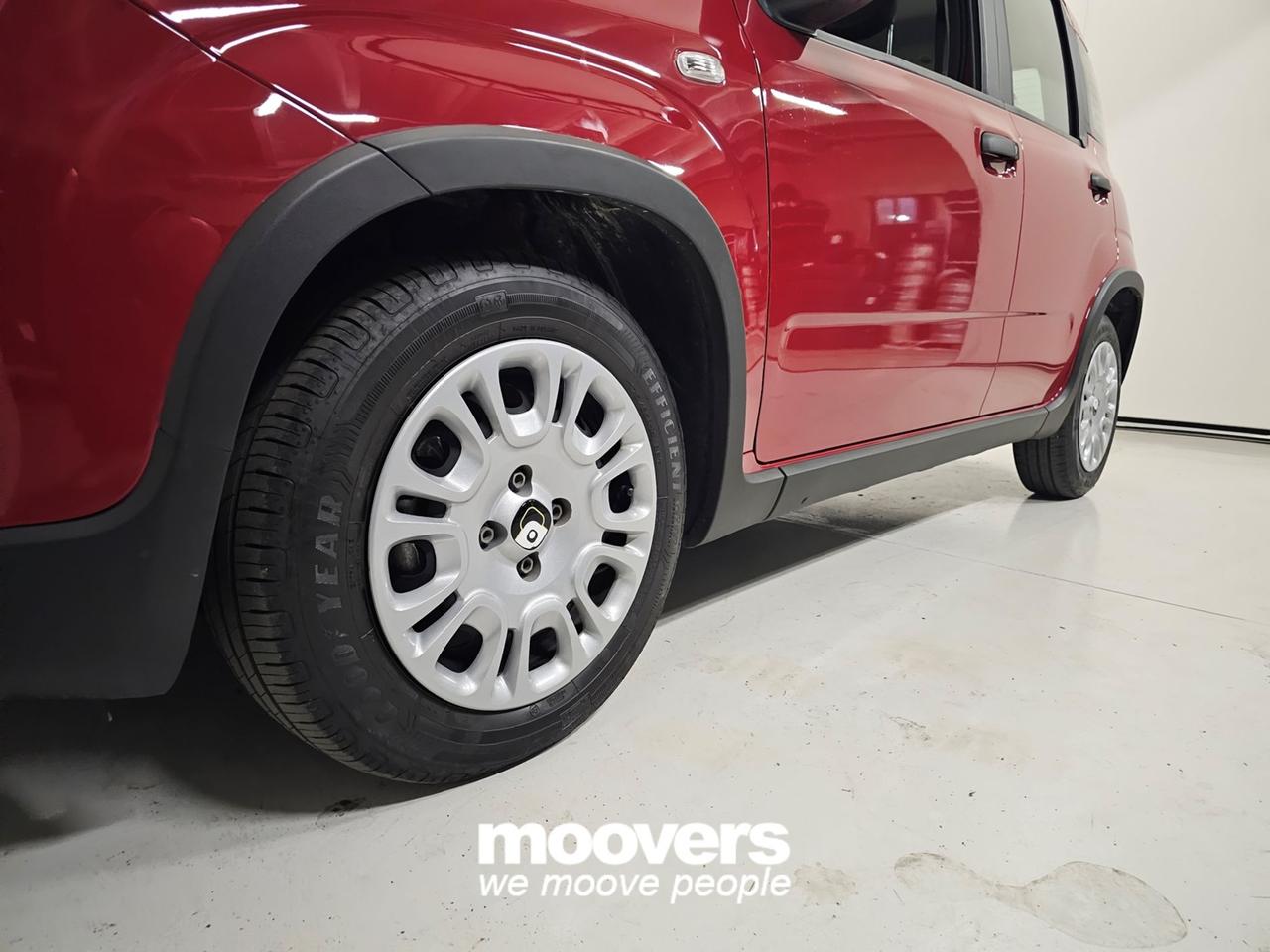 FIAT Panda 3ª serie 1.0 FireFly S&S Hybrid