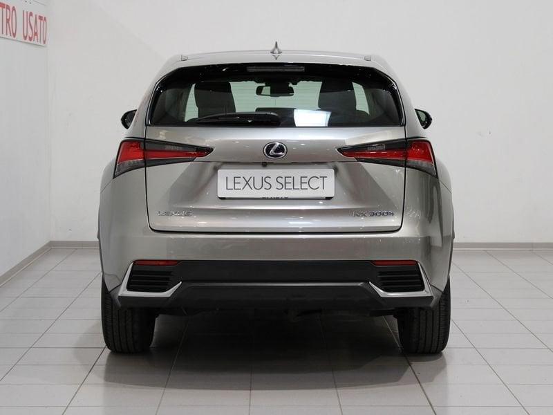 Lexus NX Hybrid 4WD Sport