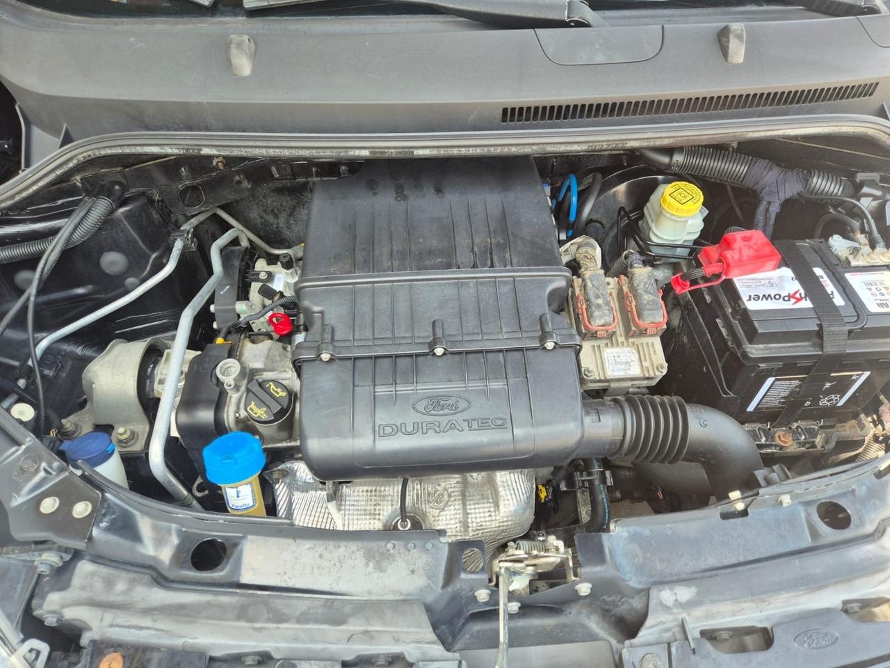Ford Ka 1.2 8V 69CV