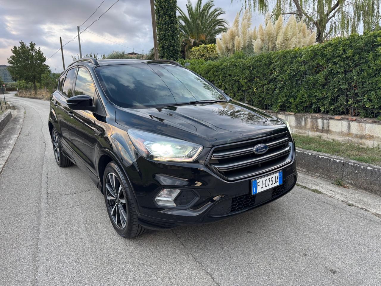 Ford Kuga 1.5 TDCI 120 CV S&S 2WD ST-Line
