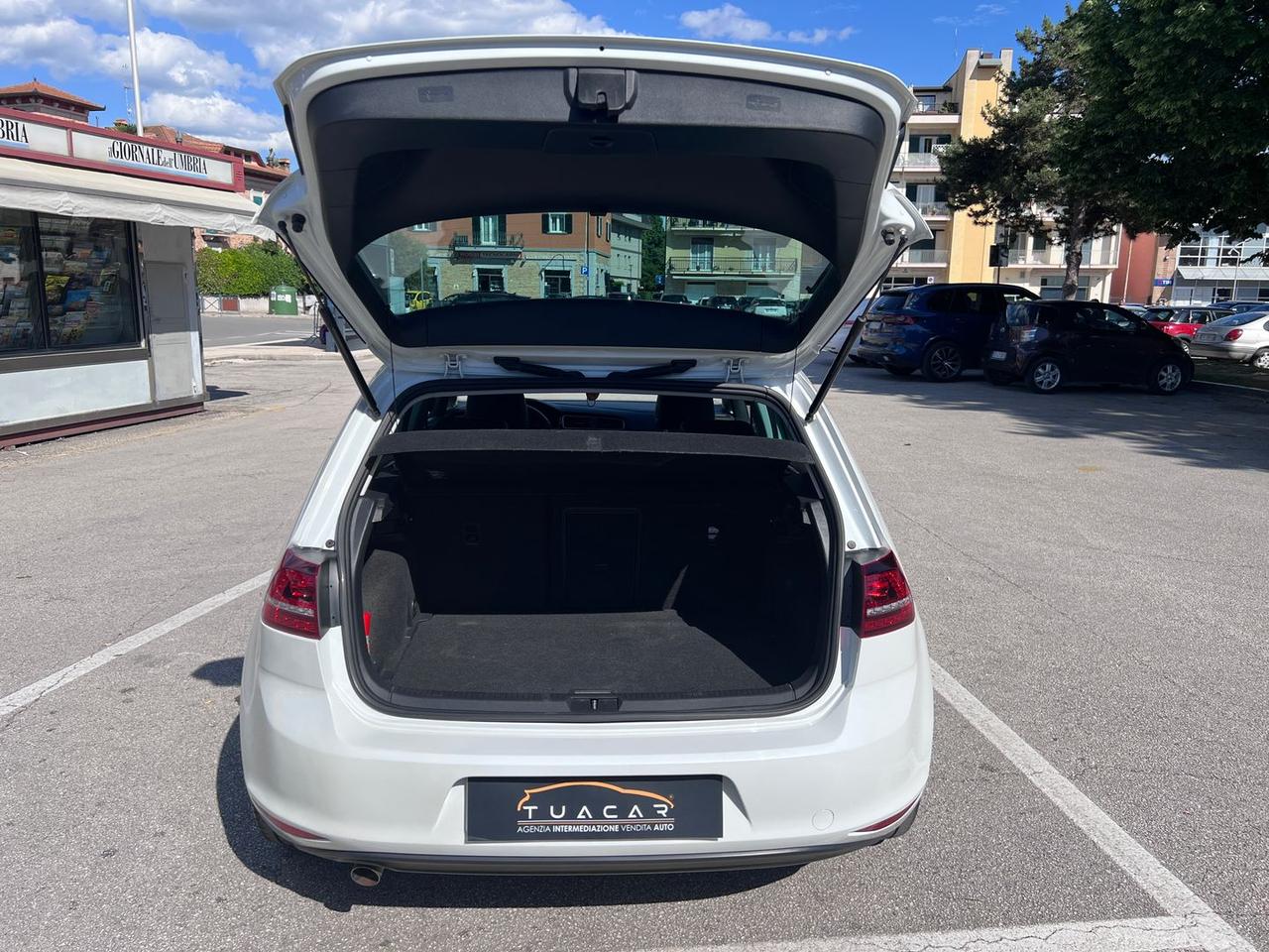 Volkswagen Golf VW Golf 1.6 TDI BlueMotion #10851