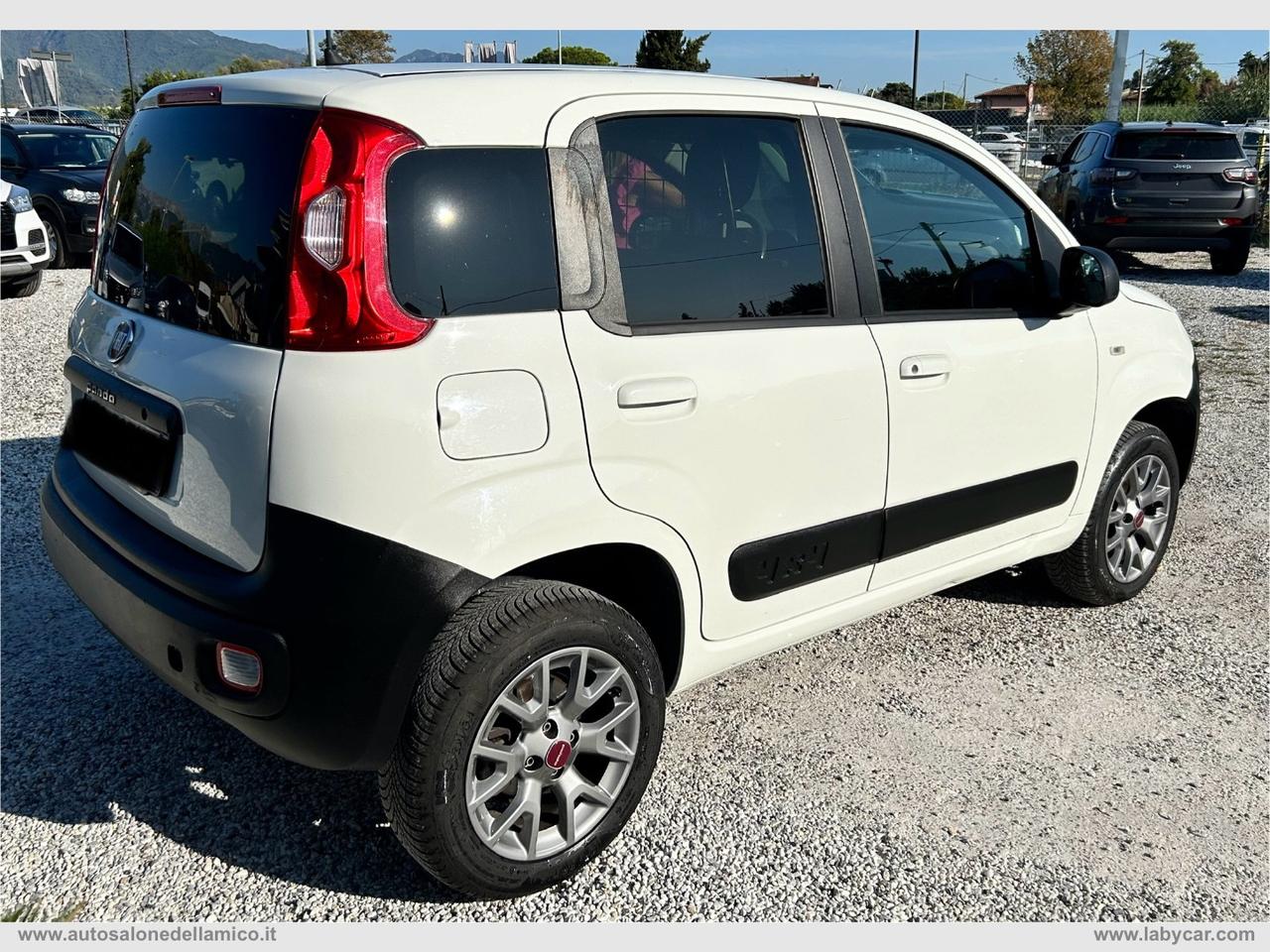 FIAT Panda 1.3 MJT 4x4 Pop Van 2 posti