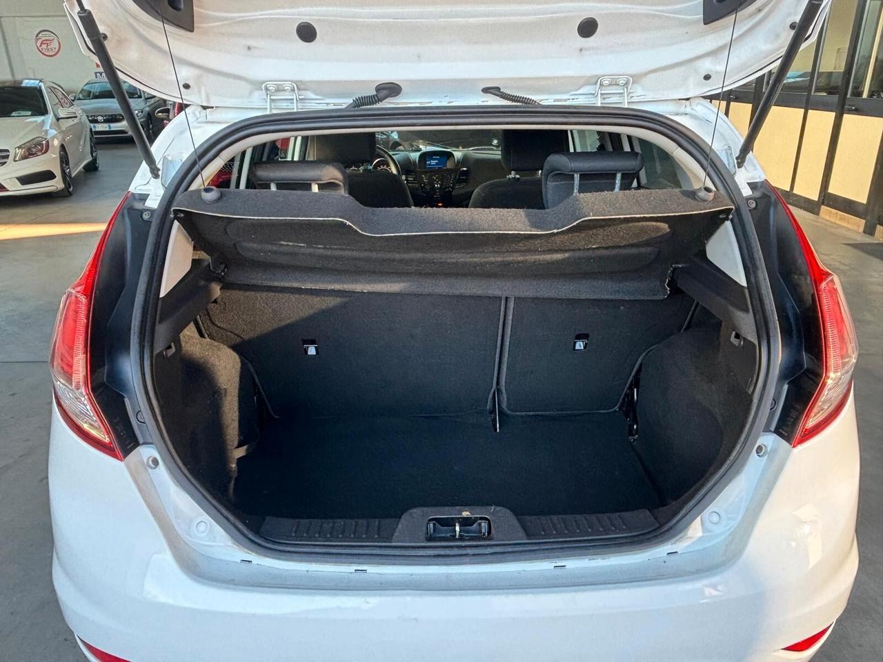 Ford Fiesta 1.5 TDCi 75CV 5 porte Titanium