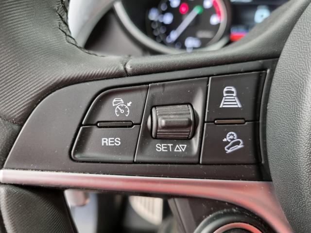 ALFA ROMEO Stelvio 2.2 Turbodiesel 190 CV AT8 Q4 Executive