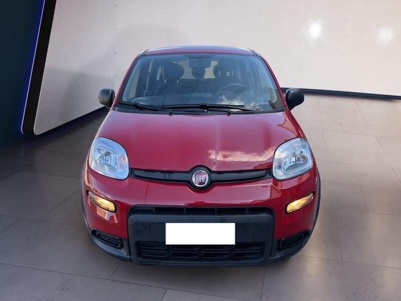 FIAT Panda My24 1.0 70cv Hybrid Panda
