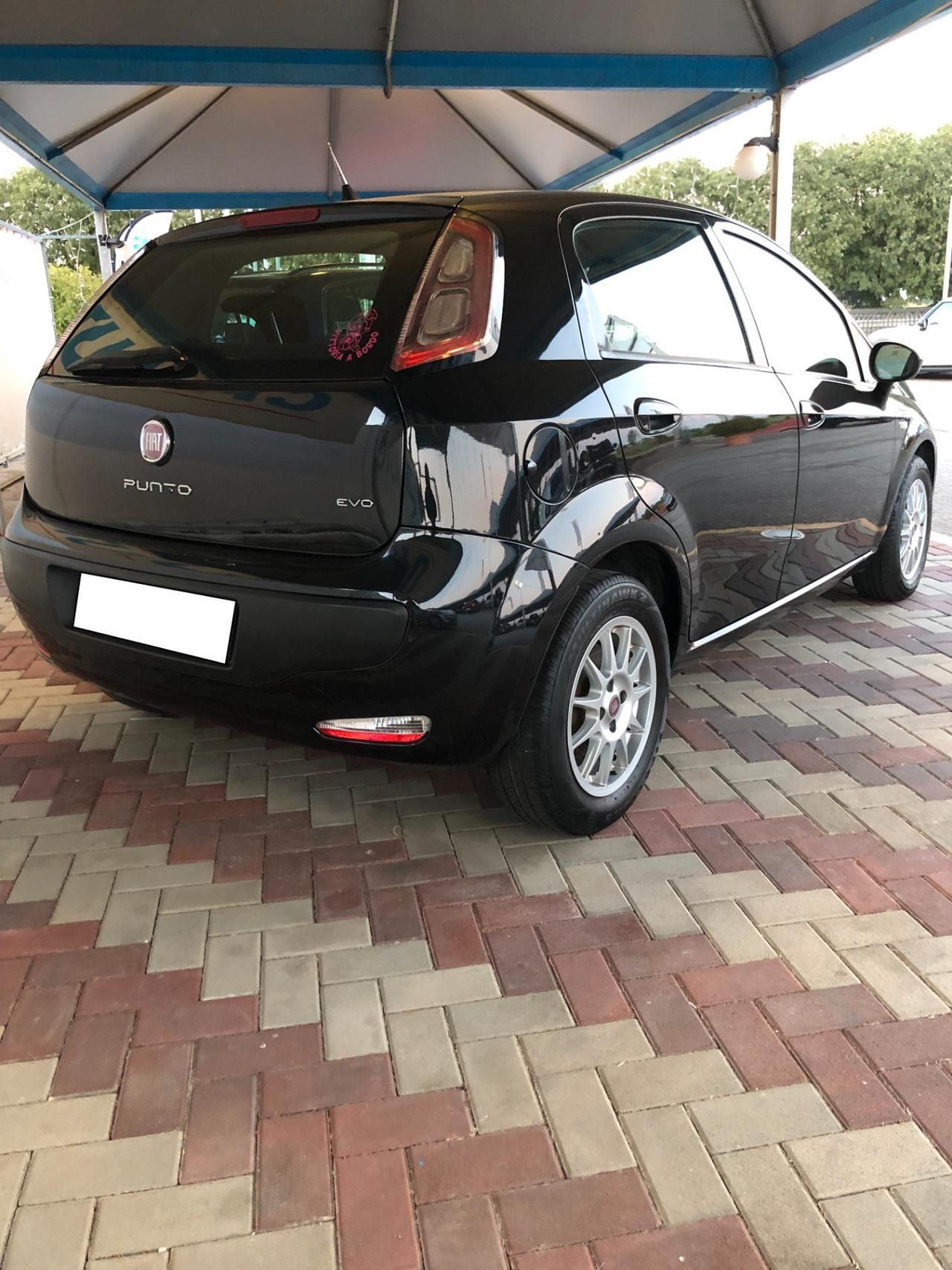 Fiat Punto Evo Punto Evo 1.3 Mjt 75 CV DPF 5 porte S&S Blue&Me