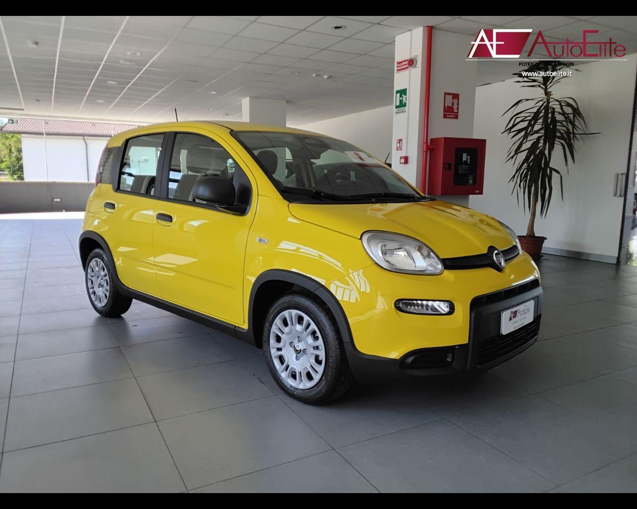 FIAT Panda My21 1.0 70cv Hybrid Panda