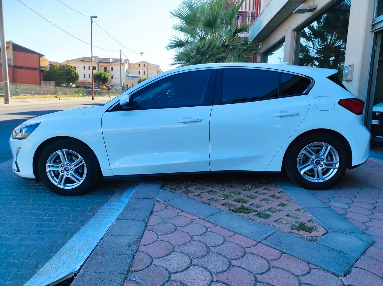 Ford Focus 1.5 EcoBlue 120 CV 5p. Business