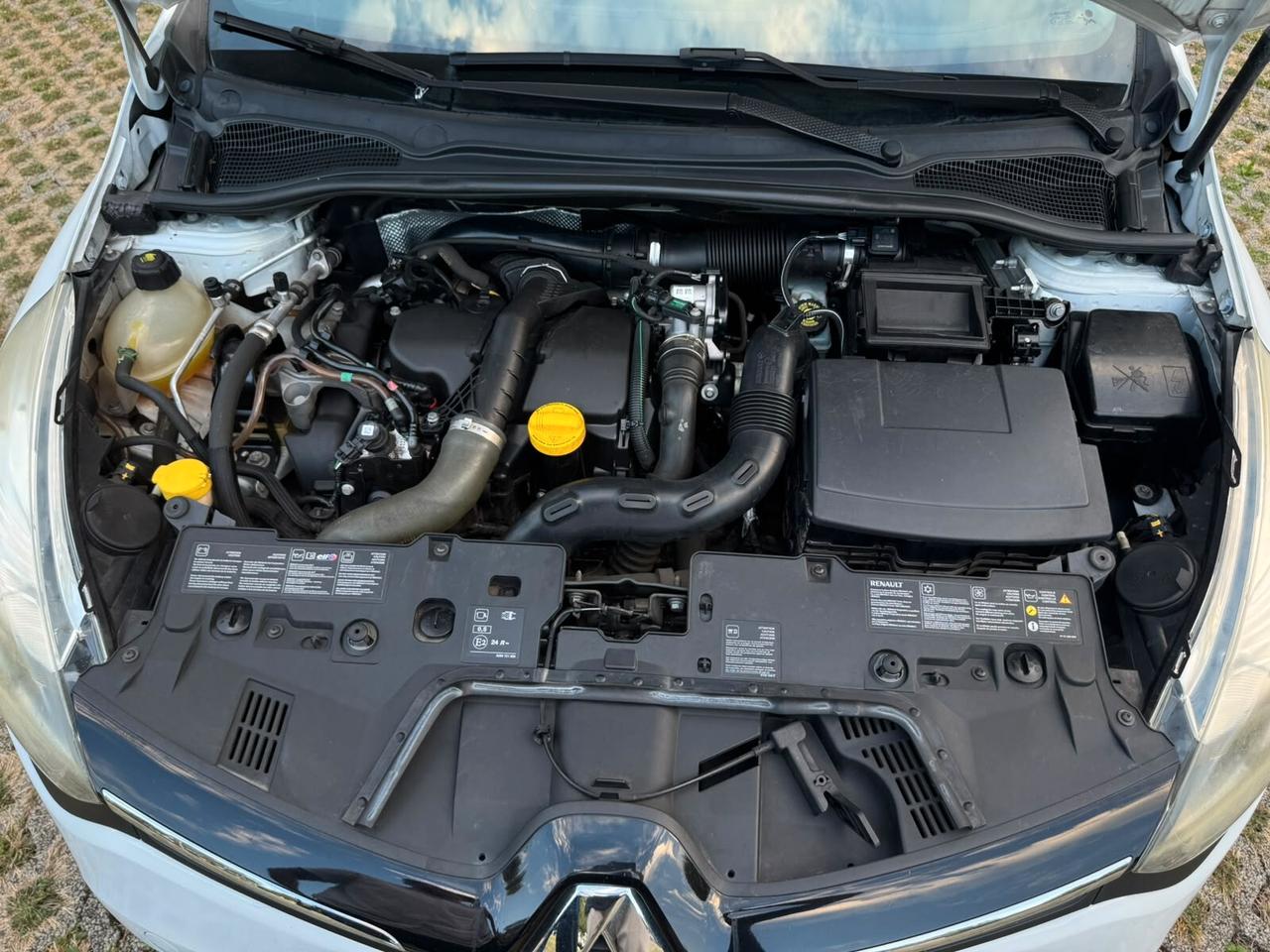 Renault Clio 1.5 dCi 8V 75CV 5 porte Live