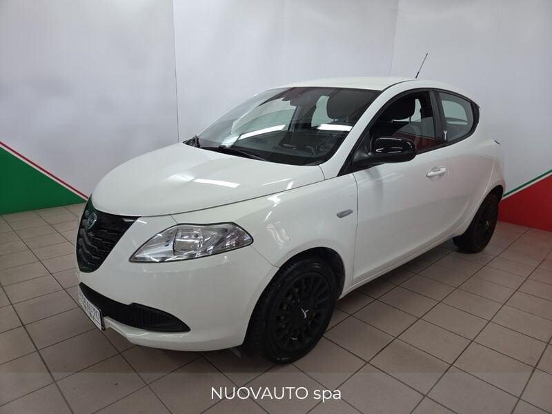 Lancia Ypsilon 1.2 69cv Elefantno