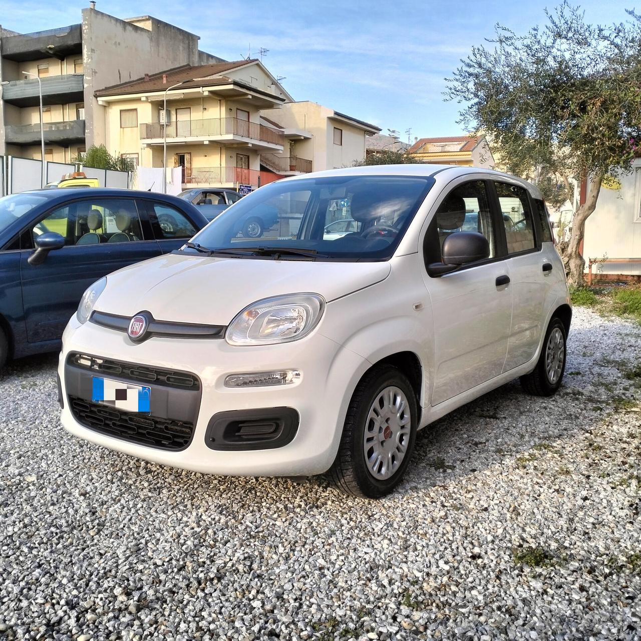 Fiat Panda 1.2 Easy Benzina
