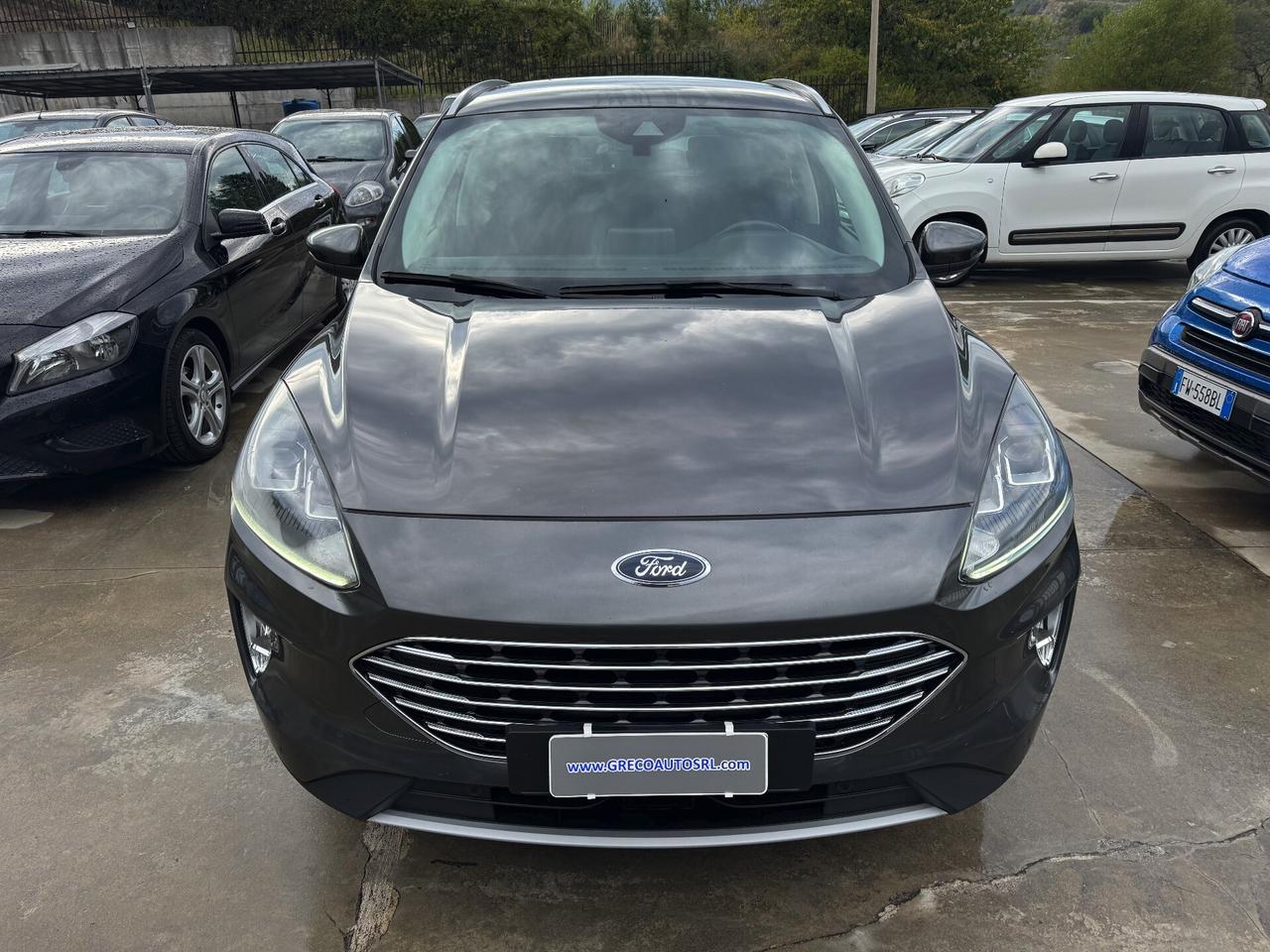 Ford Kuga 1.5 EcoBlue 120 CV 2WD Titanium