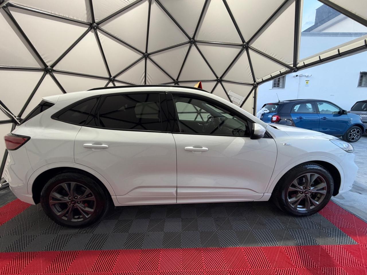 Ford Kuga 1.5 EcoBlue 120 CV 2WD ST-Line