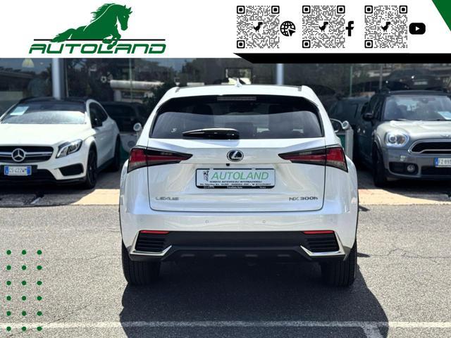 LEXUS NX 300 Hybrid 4WD Executive 155 CV