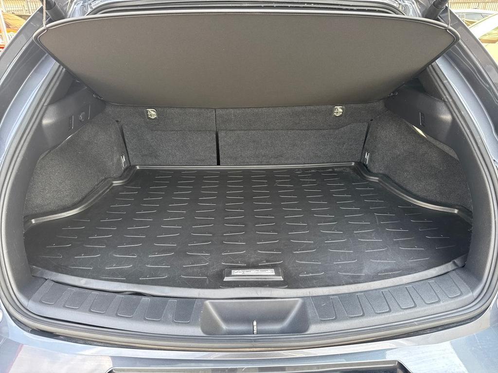 Lexus UX 250h Luxury 2wd cvt