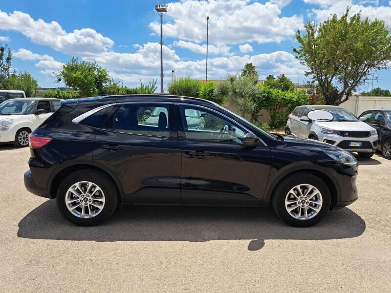 Ford Kuga 1.5 EcoBlue 120 CV aut. 2WD Titanium Business