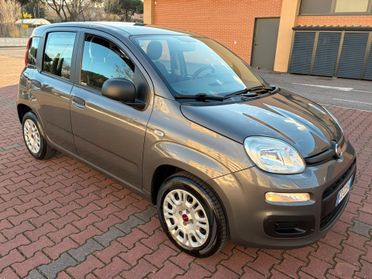 FIAT PANDA EASY 1.2cc IDONEA NEOPATENTATI