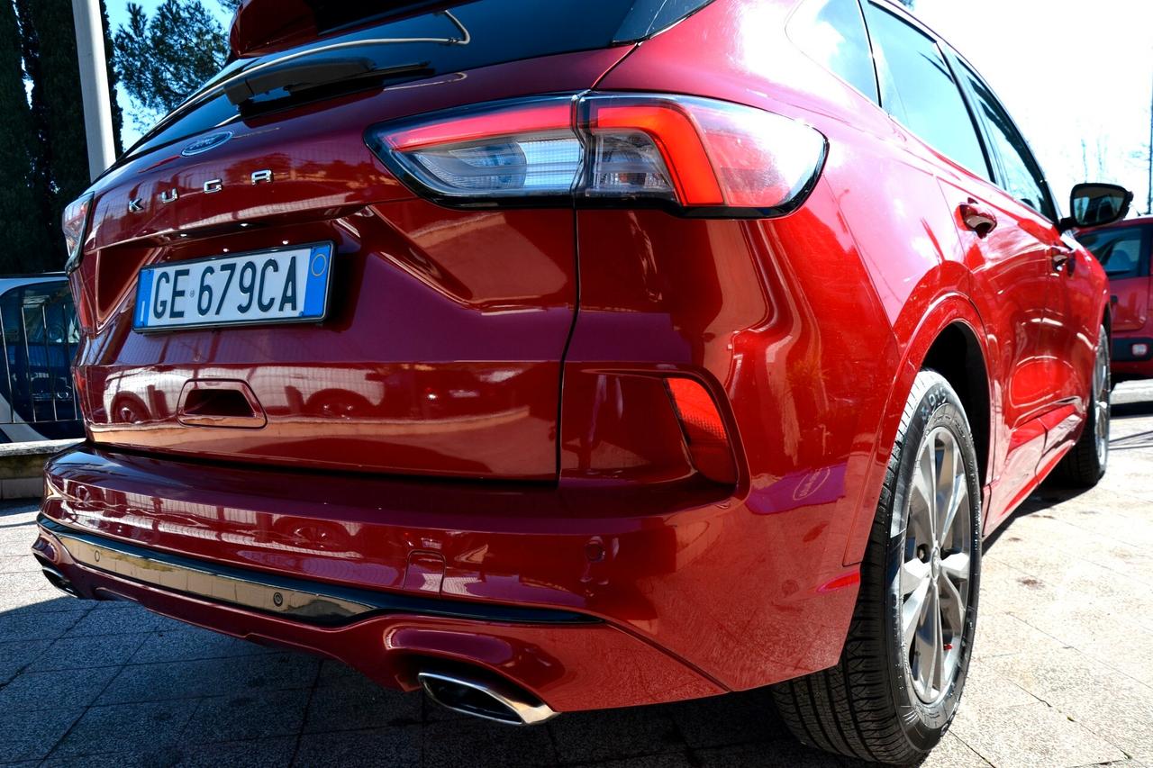 Ford Kuga 1.5 EcoBlue 120 CV 2WD ST-Line X