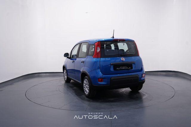FIAT New Panda My25 1.0 FireFly S&S Hybrid #Pack City #5posto