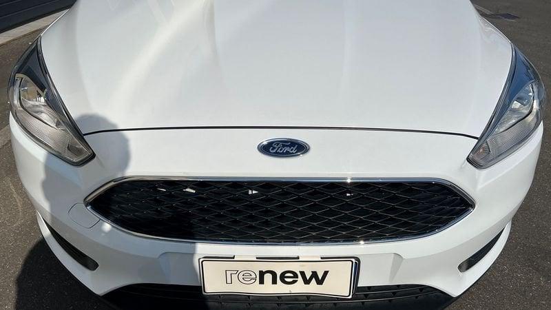 Ford Focus 5 Porte 1.6 120cv Plus