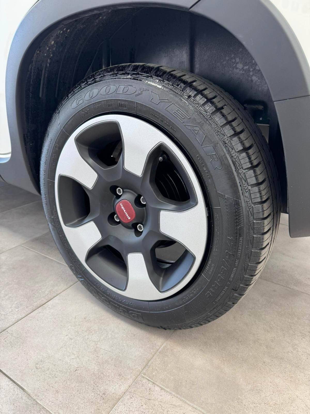 Fiat Panda Cross 1.0 FireFly S&S Hybrid-2024