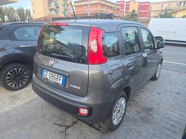 FIAT Panda 1.0 FireFly S&S Hybrid Eas 5 posti no obbligo fina