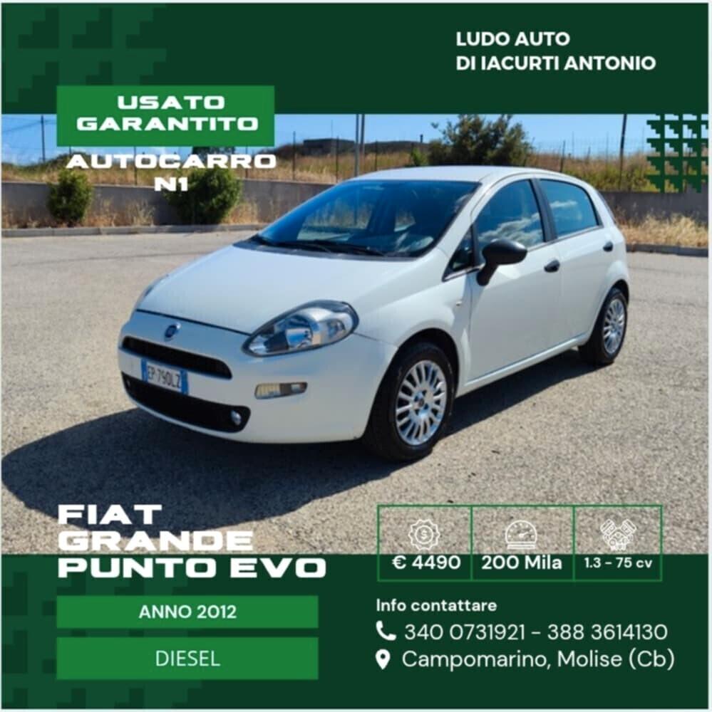 Fiat Grande Punto Autocarro N1