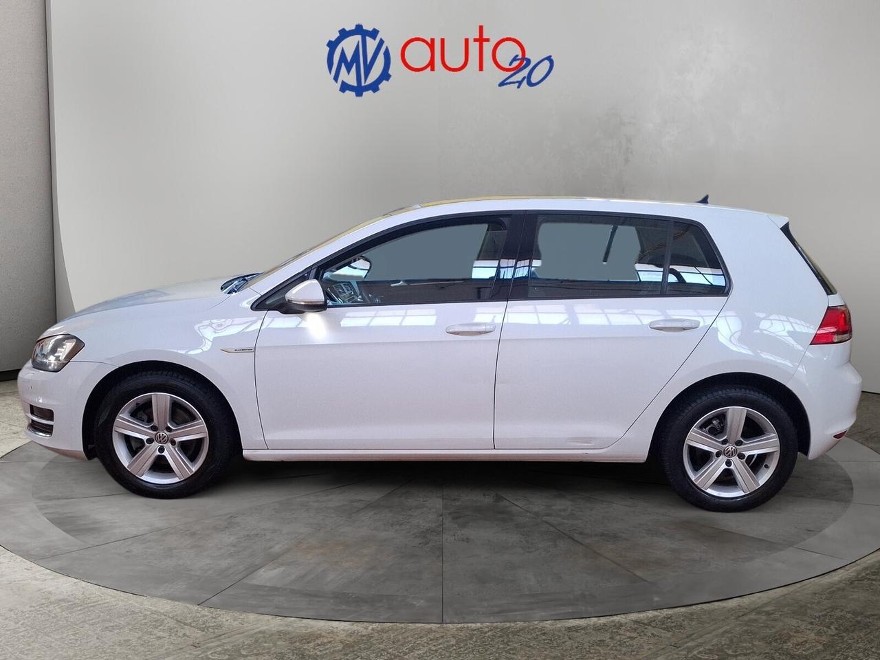 Volkswagen Golf Business 1.4 TGI DSG 5p. Highline BlueMotion