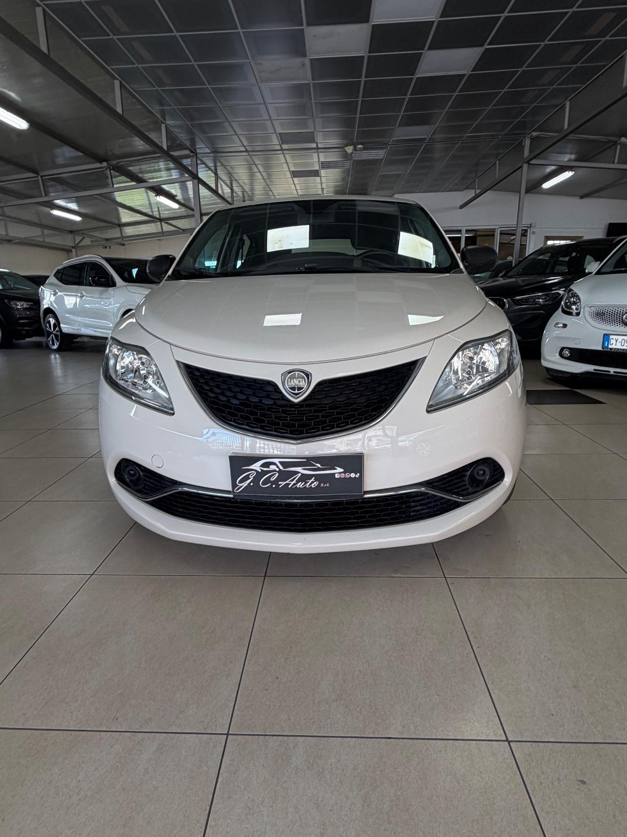 Lancia Ypsilon 1.3 MJT 16V 95 CV 5 porte S&S Silver