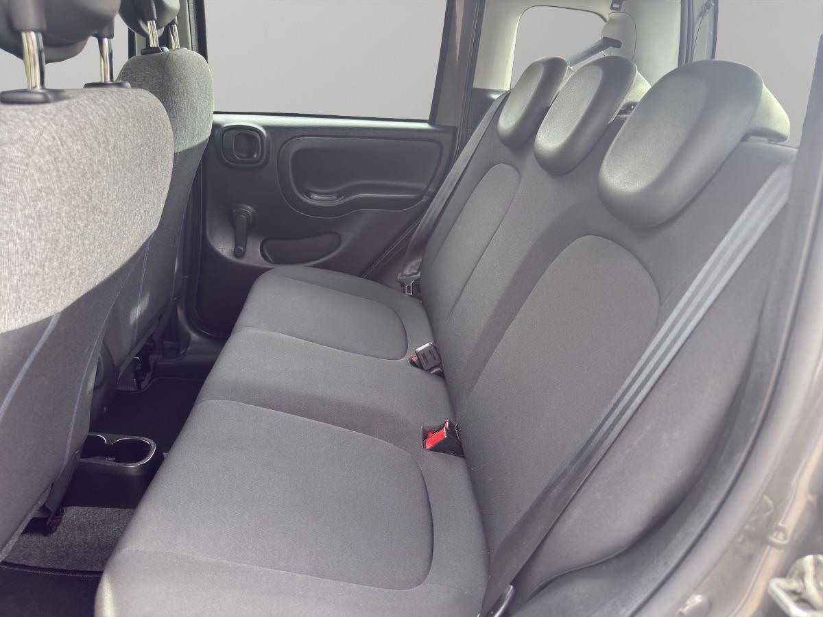 FIAT - Panda 1.0 hybrid s&s 70cv 5p.ti