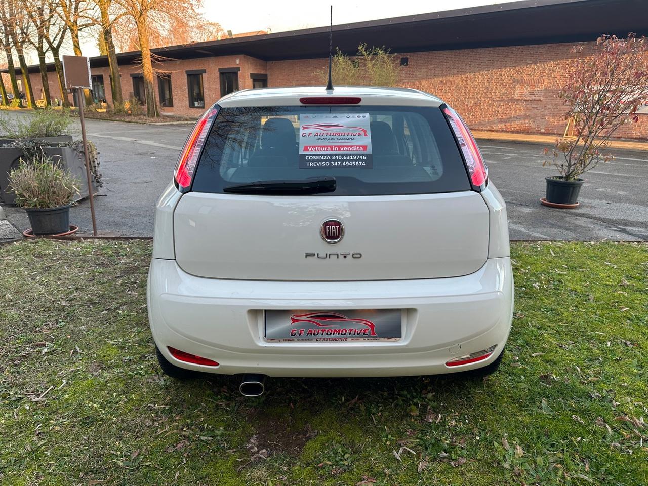 Fiat Punto 1.4 S&S 8V 5 porte Street