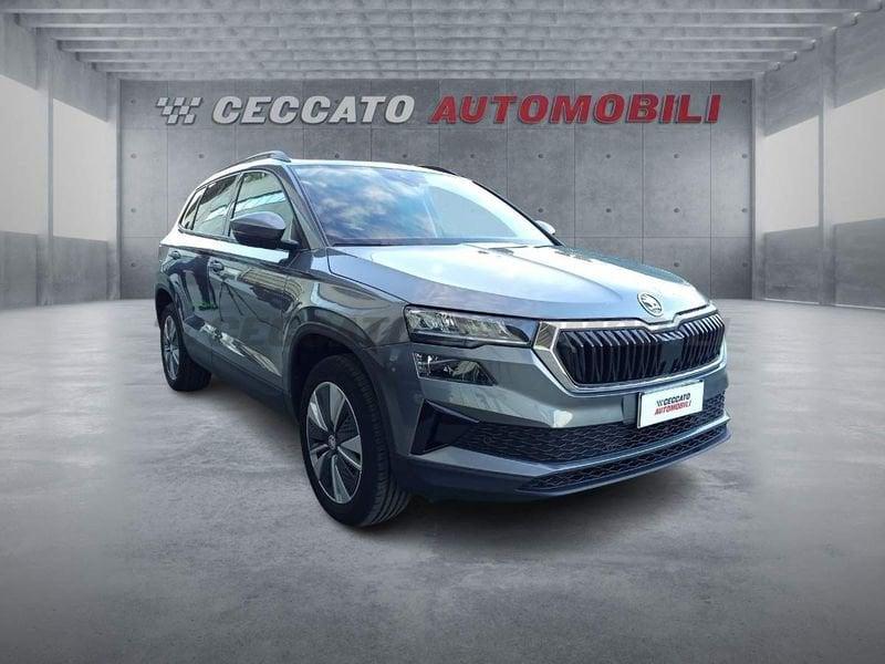 Skoda Karoq 2022 2.0 tdi evo Executive 115cv dsg