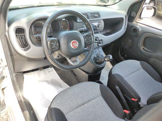 FIAT Panda 1.2 Lounge OK NEOPATENT. CLIMA,FENDINEBBIA ..