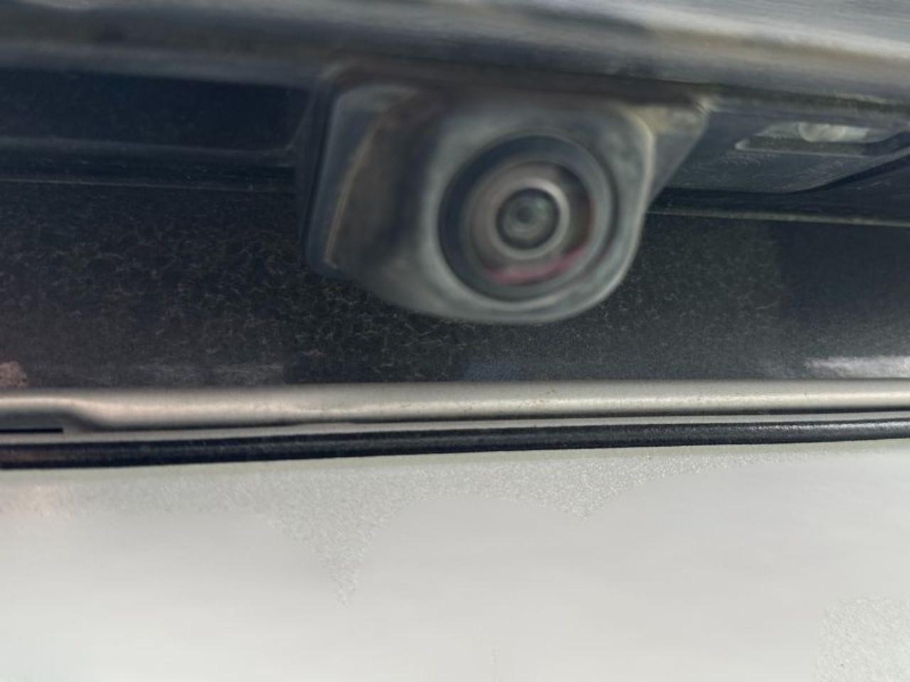 FORD Focus V 2022 SW - Focus SW 1.0 ecoboost h ST-Line Design 125cv powershift