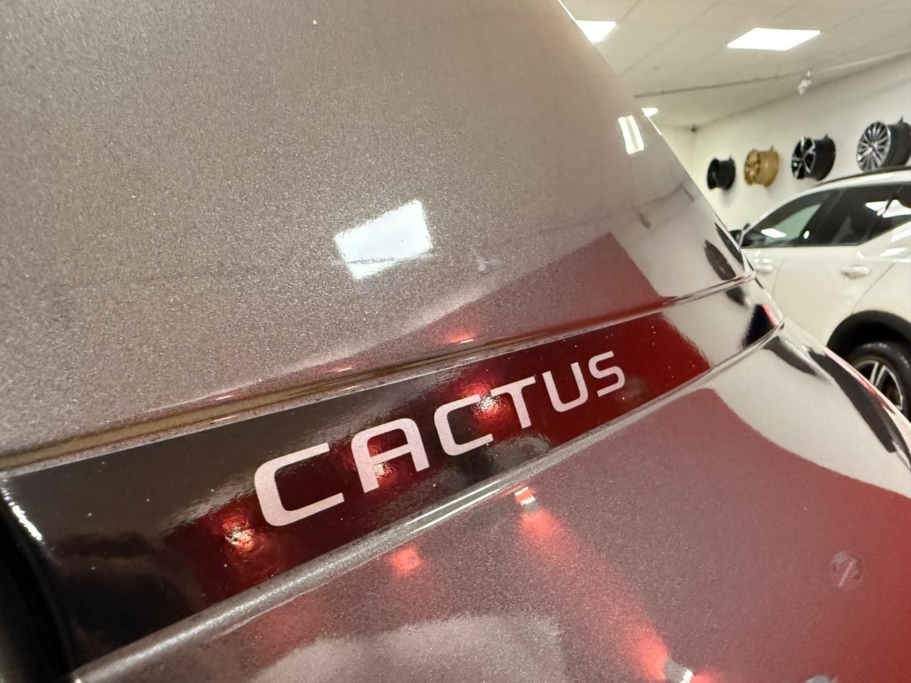 Citroen C4 Cactus BlueHDi 100 S&S Shine