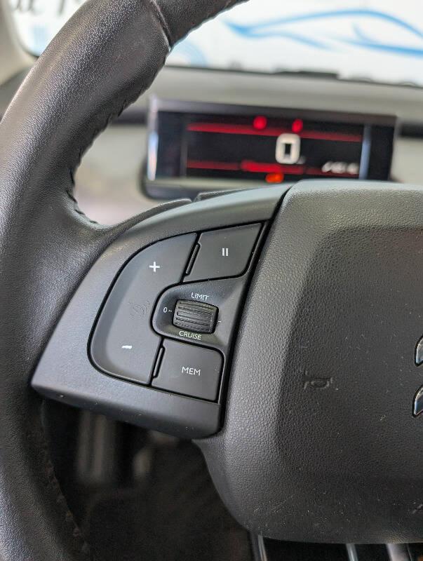 Citroen C4 Cactus 1.5 bluehdi Shine s&s 100cv