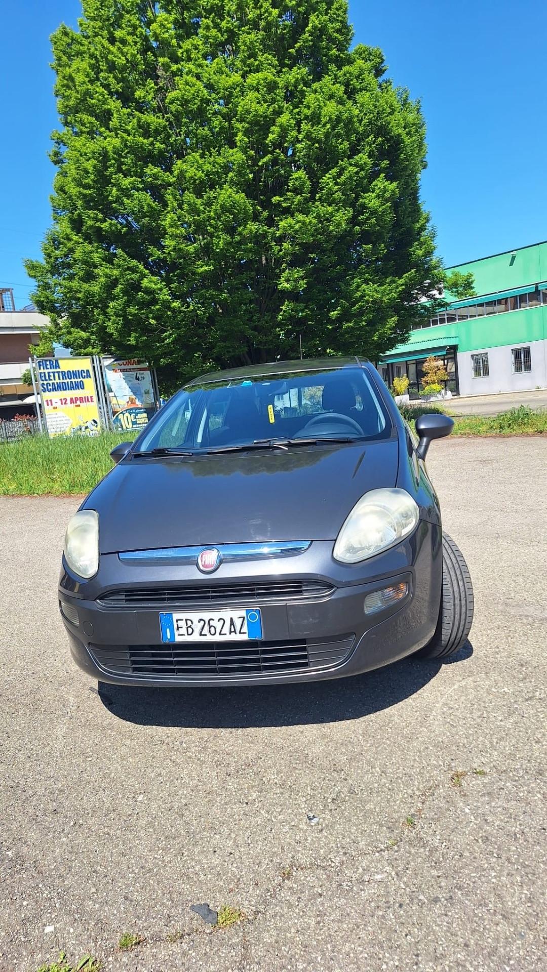 Fiat Punto Evo 1.2 5 porte Active